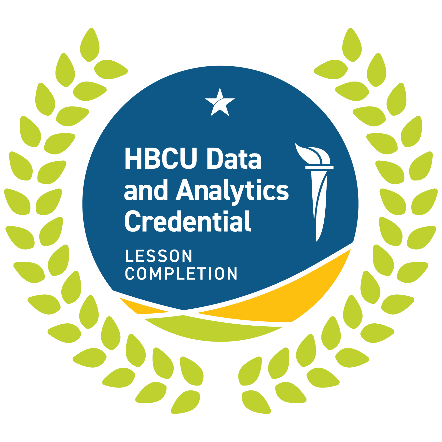 HBCU Data and Analytics Credential - Completion